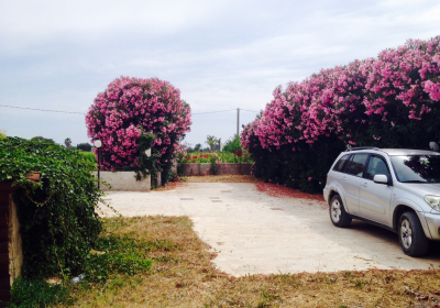 Casa Vacanze L'oleandro Rosso